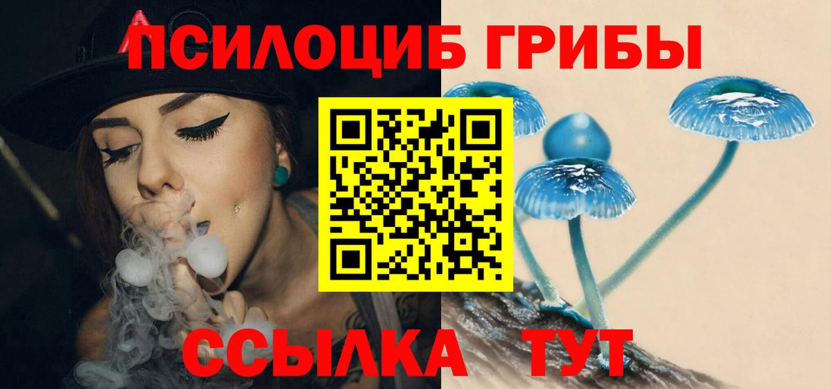 Галлюциногенные грибы Psilocybe  Вход с VPN  Галлюциногенные грибы мухоморы  Новошахтинск 